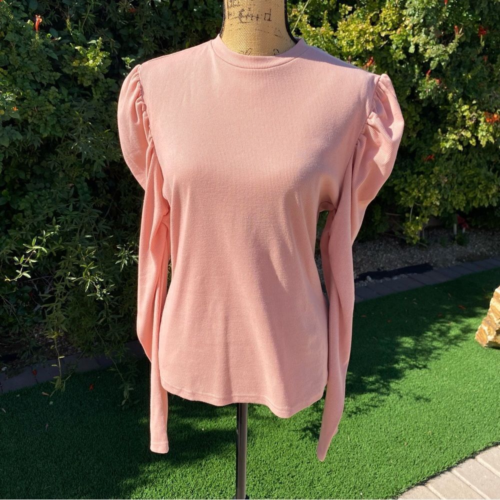 Blush Long Sleeve woth Rouched Shoulders